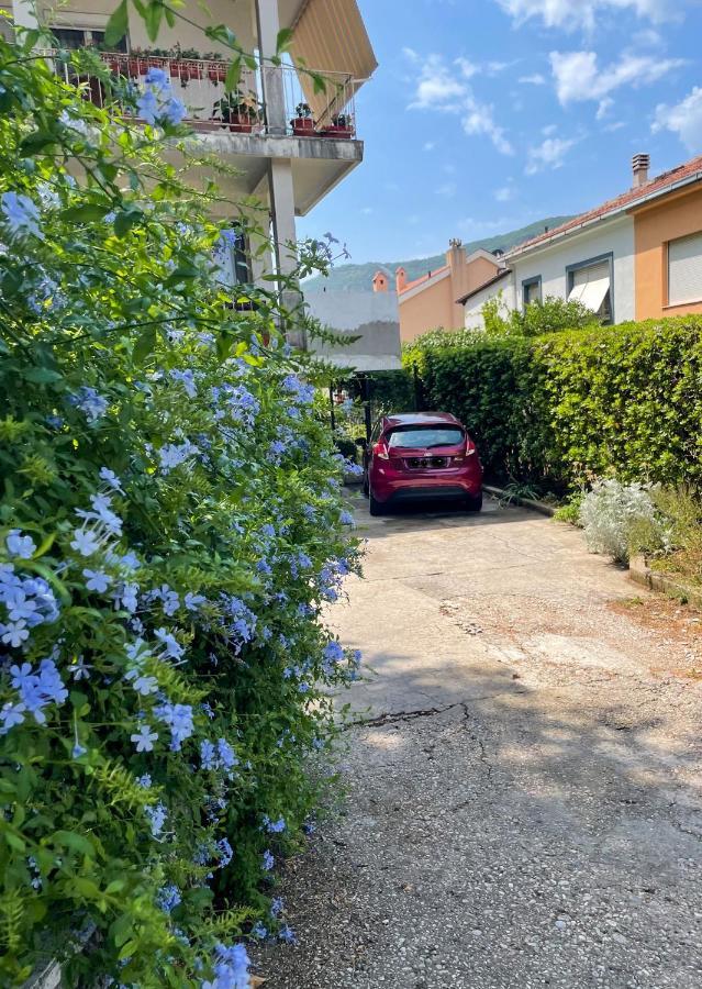 Apartment Garden Kotor Exterior foto